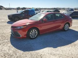 2024 Toyota Camry LE en venta en Arcadia, FL