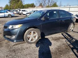 Salvage cars for sale at Finksburg, MD auction: 2014 Toyota Camry L