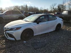 Salvage cars for sale at Chalfont, PA auction: 2021 Toyota Camry XSE