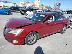 Salvage cars for sale at New Orleans, LA auction: 2011 Lexus ES 350