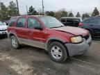 2001 Ford Escape XLT