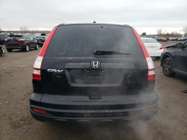 2010 Honda CR-V LX