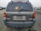 2005 Ford Escape XLT