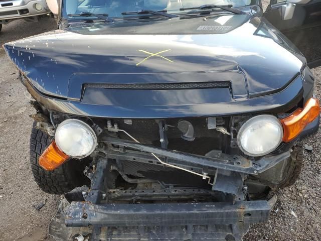 2007 Toyota FJ Cruiser