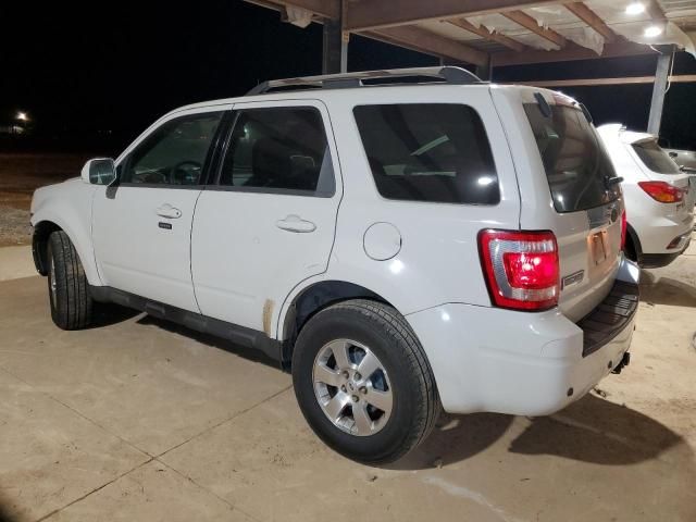 2009 Ford Escape Limited