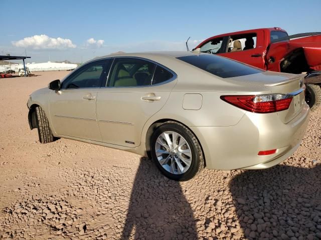 2014 Lexus ES 300H