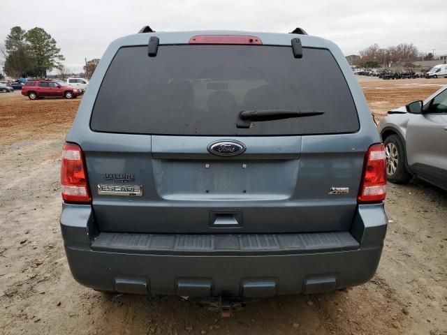 2010 Ford Escape XLT