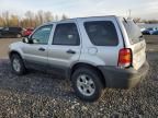 2007 Ford Escape XLT