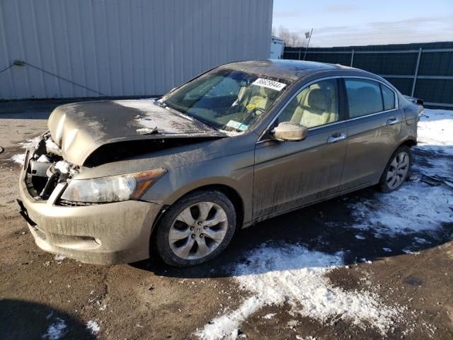 2009 Honda Accord EXL