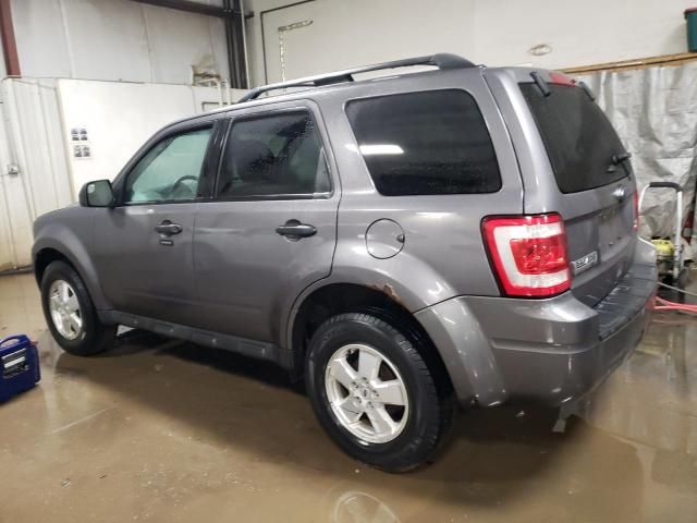 2011 Ford Escape XLT