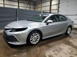 Salvage cars for sale at Columbia Station, OH auction: 2023 Toyota Camry LE