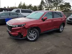 Salvage SUVs for sale at auction: 2024 Honda CR-V EX