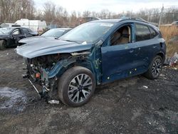 Salvage SUVs for sale at auction: 2020 Ford Escape SE Sport