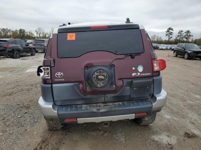 2007 Toyota FJ Cruiser