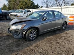 Salvage cars for sale at Finksburg, MD auction: 2011 Honda Accord SE