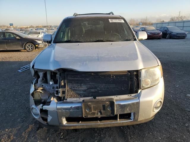 2010 Ford Escape Limited