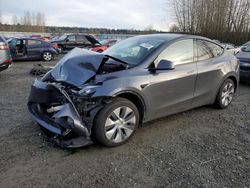 2023 Tesla Model Y en venta en Arlington, WA