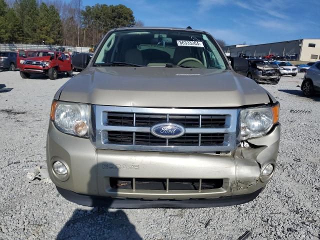 2012 Ford Escape XLT