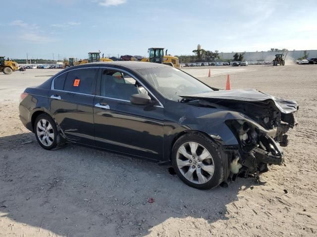 2010 Honda Accord EXL