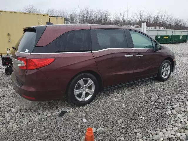 2019 Honda Odyssey EXL