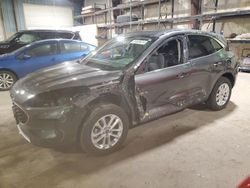 Salvage cars for sale at Eldridge, IA auction: 2020 Ford Escape SE