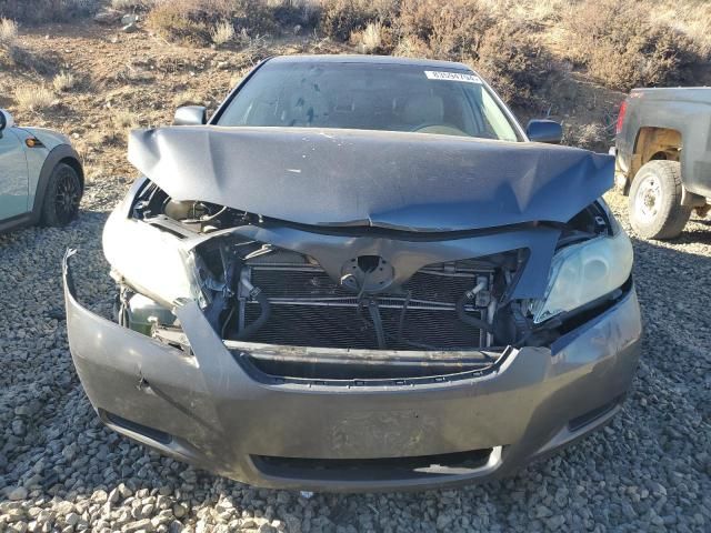 2009 Toyota Camry Hybrid