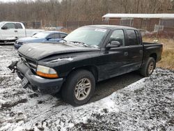 Salvage cars for sale at Baltimore, MD auction: 2001 Dodge Dakota Quattro