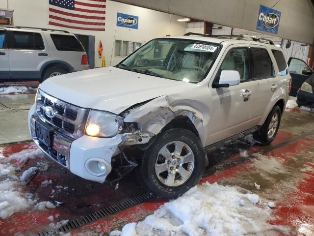 2010 Ford Escape Limited