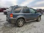 2005 Ford Escape XLT