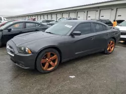 2013 Dodge Charger SE en venta en Louisville, KY