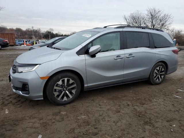 2025 Honda Odyssey EXL