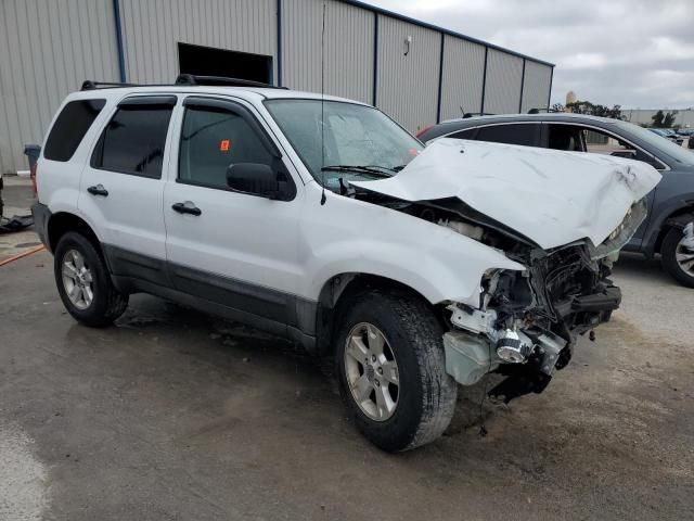 2005 Ford Escape XLT