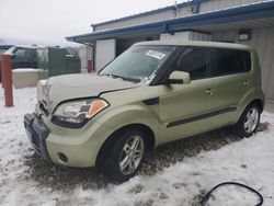 Salvage cars for sale at Wayland, MI auction: 2011 KIA Soul +