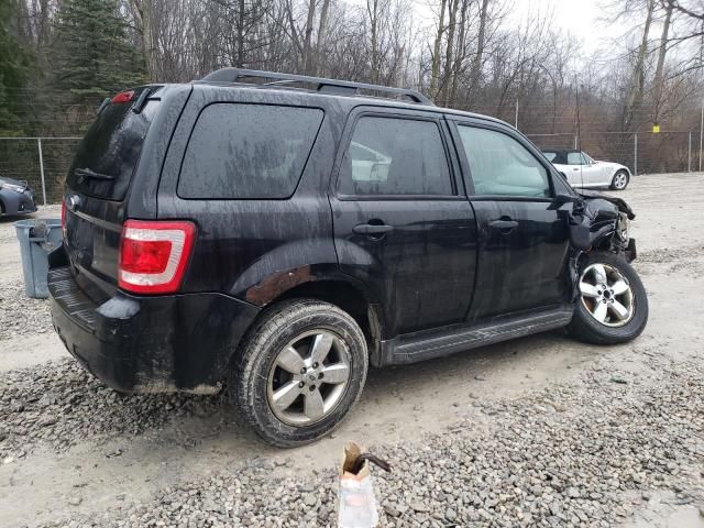 2010 Ford Escape XLT