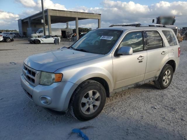 2011 Ford Escape Limited