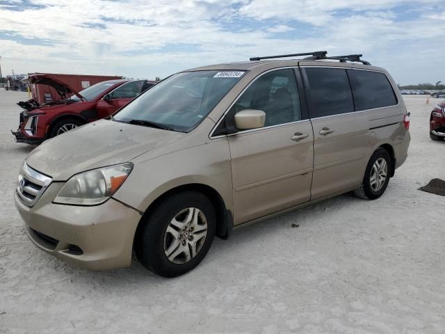 2006 Honda Odyssey EXL