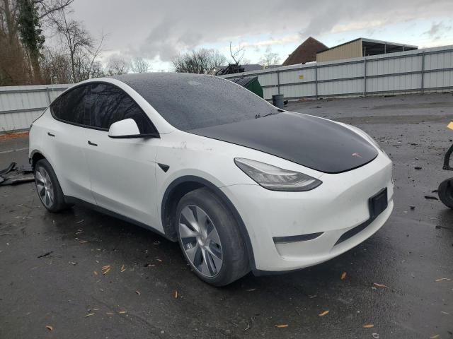 2020 Tesla Model Y