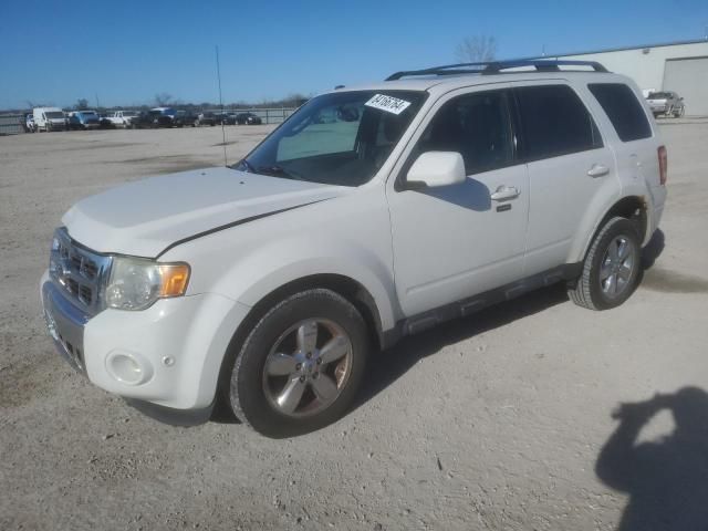 2011 Ford Escape Limited