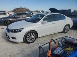 Honda Accord exl salvage cars for sale: 2013 Honda Accord EXL