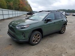 Salvage cars for sale at Shreveport, LA auction: 2024 Toyota Rav4 Woodland Edition