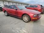 2005 Ford Mustang