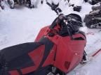 2021 Other Sled