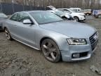 2009 Audi A5 Quattro