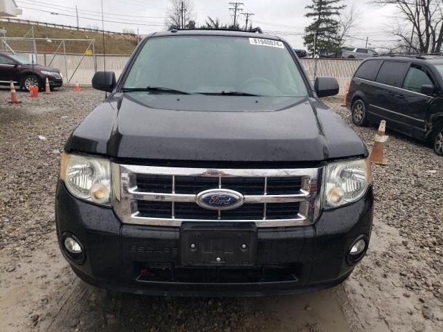 2009 Ford Escape XLT