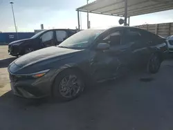 Salvage cars for sale at Anthony, TX auction: 2024 Hyundai Elantra SEL