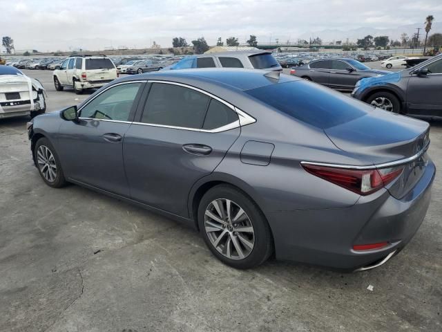 2019 Lexus ES 350