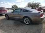 2005 Ford Mustang GT