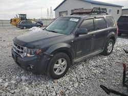 Ford salvage cars for sale: 2008 Ford Escape XLT