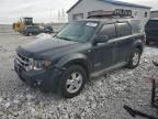 2008 Ford Escape XLT