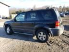 2006 Ford Escape XLT